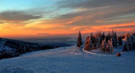 SZILVESZTER ERDÉLYBEN A HARGITÁNÁL